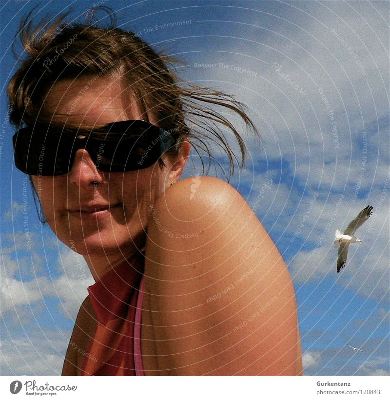Lady Seagull Sonnenbrille Frau Porträt Möwe Wolken Rügen schön Strand Küste Himmel Haare & Frisuren Wind lachen Gesicht Mensch