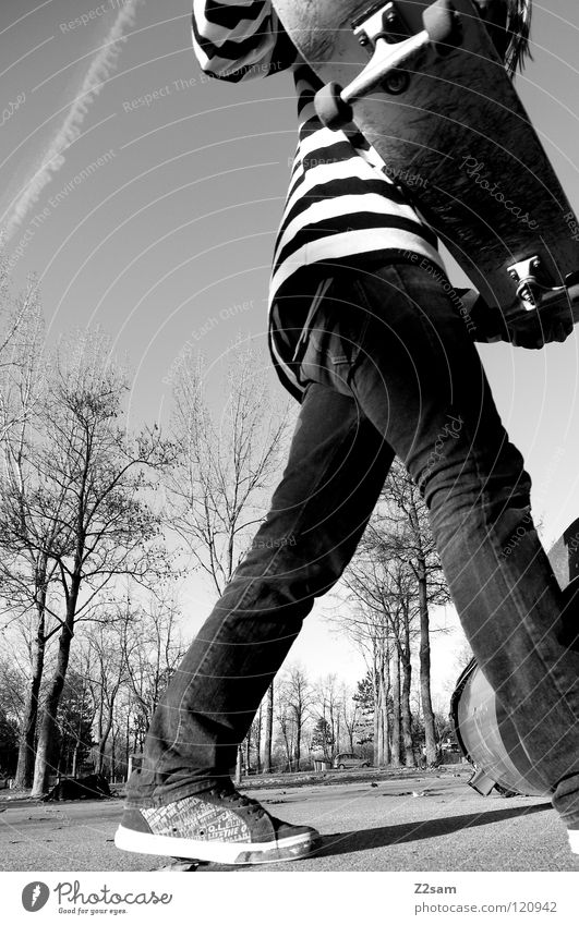 when passing by Aktion Skateboarding Zufriedenheit gestreift Teer Beton Baum Weitwinkel Jugendliche Sport Fass Müllbehälter oben stehen gehen vergangen
