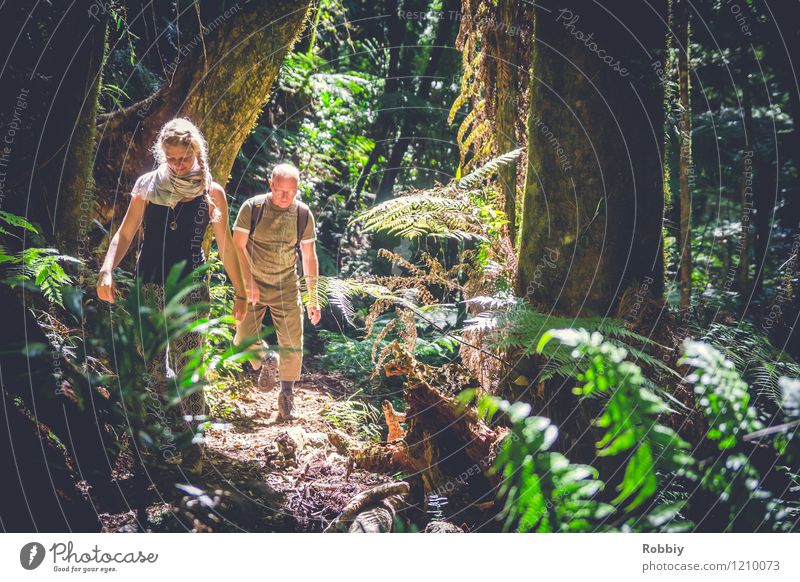 ...durch den Regenwald... Ferien & Urlaub & Reisen Tourismus Ausflug Abenteuer wandern Junge Frau Jugendliche Mann Erwachsene 2 Mensch Wald Urwald Australien