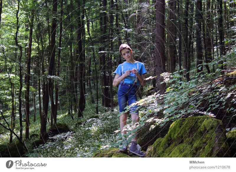 Ich glaub´ ich steh im Wald Ausflug Abenteuer Freiheit wandern maskulin Kind Junge Kindheit 8-13 Jahre Natur Sommer Schönes Wetter Baum Felsen Berge u. Gebirge