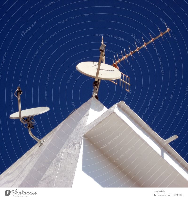 Contact (Spanien) Farbfoto Außenaufnahme Menschenleer Kontrast Froschperspektive Antenne Satellitenantenne Technik & Technologie Telekommunikation Medien