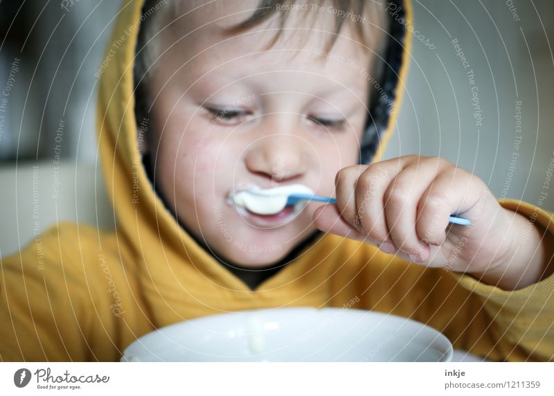 Frühstück Joghurt Ernährung Essen Schalen & Schüsseln Löffel Lifestyle Kind Kleinkind Junge Kindheit Leben Gesicht Hand 1 Mensch 1-3 Jahre Kapuze frisch