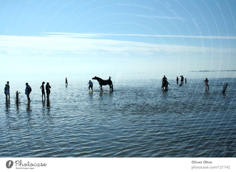 Watt Impression Wattenmeer Cuxhaven Pferd Silhouette wandern Küste Strand Nordsee Mensch