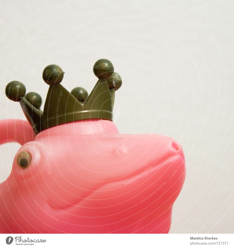 Majestät Froschkönig Gießkanne weiß rosa rot Märchen Tier Dinge Gute Laune Ausstellung interessant aufregend obskur King König Crown Baumkrone Mund Statue