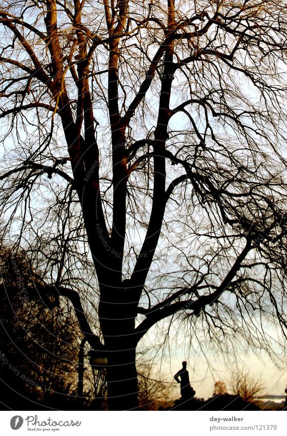 Zweisamkeit Baum Statue Geäst Dämmerung Winter Licht dunkel Zusammensein Herbst Mensch Bank Silhouette Natur Baumstamm Ast Sonne Abenddämmerung Schatten