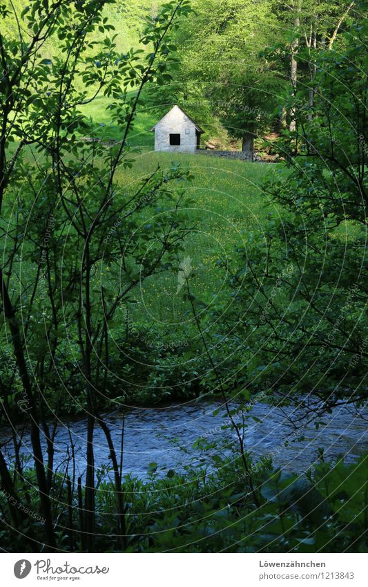 All I need... Natur Wiese Wald Bach Quelle Hütte ästhetisch frei frisch hell klein natürlich blau grün weiß Schutz Gelassenheit ruhig authentisch bescheiden