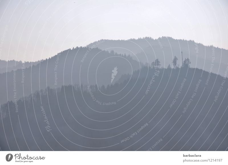 !Trash! 2017 | graublauer Schwarzwald wandern Natur Landschaft Urelemente Himmel Baum Wald Hügel Berge u. Gebirge Stimmung Freiheit Freizeit & Hobby Horizont