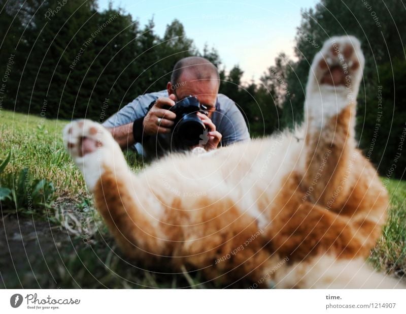 Im Rampenlicht | Model-Shooting maskulin 1 Mensch Fotografie Fotografieren Wiese Wald Haustier Katze beobachten liegen Blick Euphorie Coolness Leidenschaft