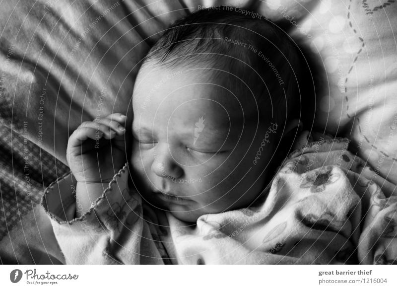 Schlafendes Baby feminin Kopf 1 Mensch 0-12 Monate schlafen dünn Glück schön klein positiv grau schwarz weiß Erschöpfung Geburt träumen Schwarzweißfoto