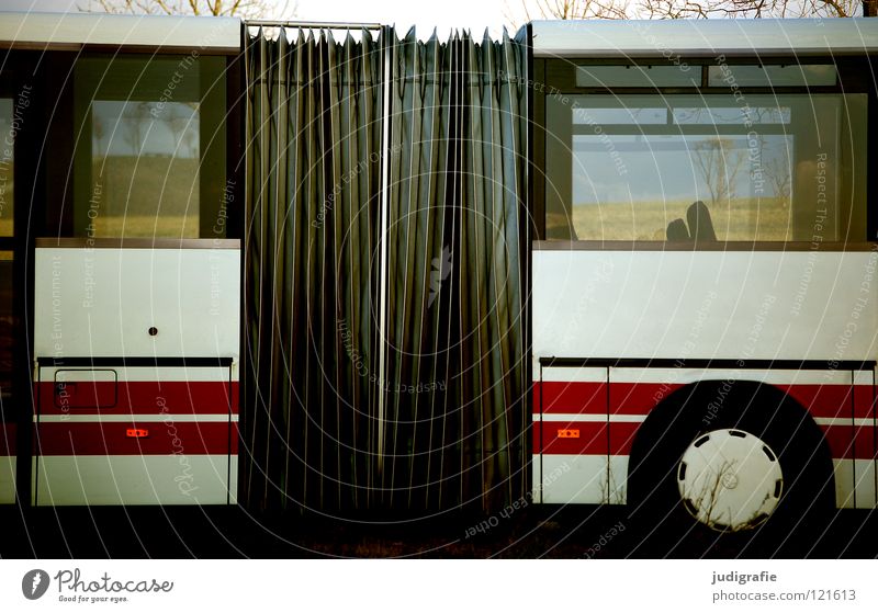 Bus Verkehrsmittel Fahrzeug Öffentlicher Personennahverkehr Güterverkehr & Logistik weiß rot Streifen Fenster Durchblick Infrastruktur Linienbus