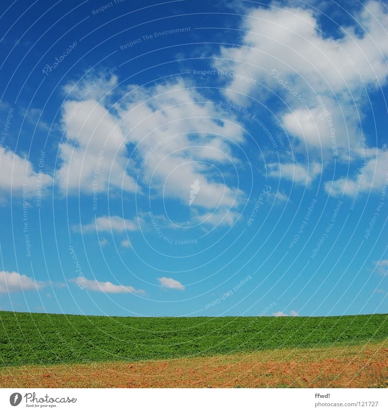 Sommer im Quadrat 1.3 Himmel blau Wolken schön Feld grün Wiese Landwirtschaft Ackerbau Landschaft Natur Reifezeit gerade einfach sehr wenige gutes Wetter