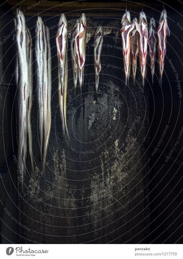 rauchopfer Lebensmittel Fisch Ernährung Duft gruselig heiß lecker Kultur Neugier Tod Tradition Aal Räucherfisch Herd & Backofen hängen Bodensee Rauch
