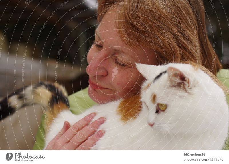 Kuschelgruppe Mensch feminin Frau Erwachsene Kopf Gesicht Hand Finger 45-60 Jahre Haustier Katze Tiergesicht genießen Lächeln Blick Freundlichkeit Glück