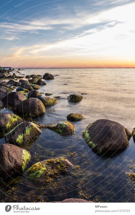 stille wasser... Umwelt Natur Himmel Wolken Sonnenaufgang Sonnenuntergang Sonnenlicht Sommer Wetter Schönes Wetter Wellen Küste Seeufer Strand Ostsee Meer Moor