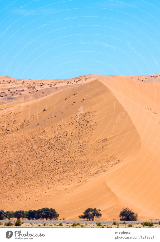 Schöne Kurven #2 Ferien & Urlaub & Reisen Tourismus Ferne Safari Umwelt Natur Landschaft Sand Himmel Wolkenloser Himmel Klima Schönes Wetter Wärme Dürre Wüste