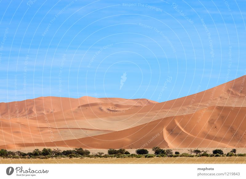 Schöne Kurven #1 Ferien & Urlaub & Reisen Tourismus Ferne Safari Natur Landschaft Sand Himmel Wärme Wüste Namib blau gelb orange Abenteuer Klima Umwelt Düne
