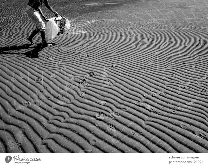 linien abdrücke fliegen Meer See Sommer schwarz weiß Ebbe Geschwindigkeit Erde Sand Wasser mare sea Fliege Drache Wind fly Kontrast Furche Linie Zeichen Flut