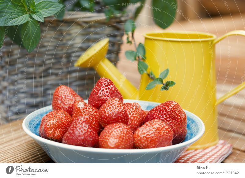 Lecker Erdbeeren III Frucht Bioprodukte Vegetarische Ernährung Schalen & Schüsseln Gießkanne authentisch lecker natürlich süß genießen Minze Korb Holztisch