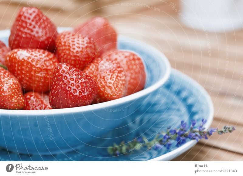 Lecker Erdbeeren Frucht Vegetarische Ernährung Teller Schalen & Schüsseln lecker natürlich saftig süß Holztisch rein Außenaufnahme Menschenleer