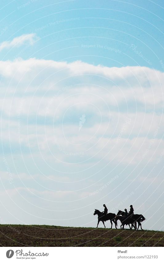 ride on! Pferd Ausritt laufen Ausflug Wolken Feld Silhouette Himmel Reitsport Reiter blau Natur