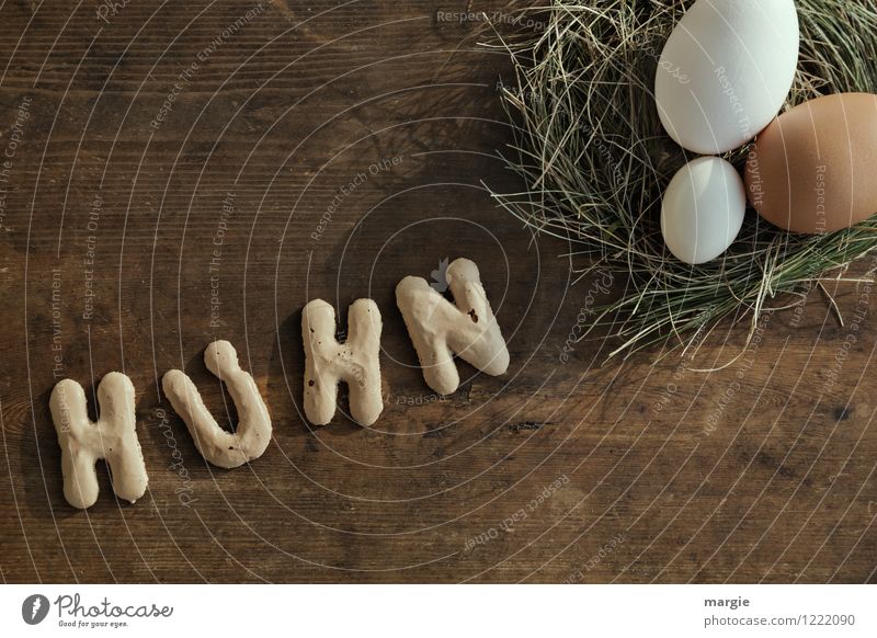 Die Buchstaben HUHN und ein Nest mit Eiern auf einem rustikalen Holzbrett Lebensmittel Suppe Eintopf Ernährung Frühstück Bioprodukte Diät Fasten Tier Nutztier