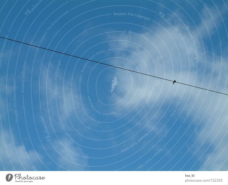 Der Knoten im Himmel weiß Wolken Elektrizität Schnur diagonal quer Sommer blau Leitung Kabel