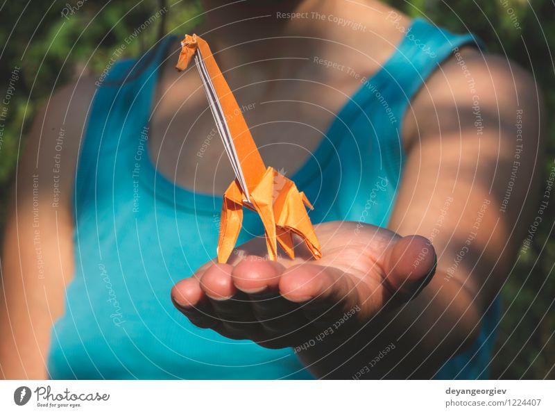 Origami orange Farbe Design Freude Spielen Ferien & Urlaub & Reisen Tourismus Safari Dekoration & Verzierung Handwerk Kunst Zoo Natur Tier Park Papier Spielzeug