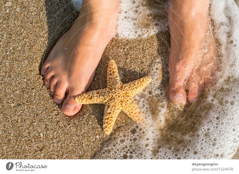 Seestern und Füße am Strand Design Körper Erholung Ferien & Urlaub & Reisen Sommer Sonne Meer Mensch Mädchen Frau Erwachsene Fuß Natur Sand Küste blau Wasser