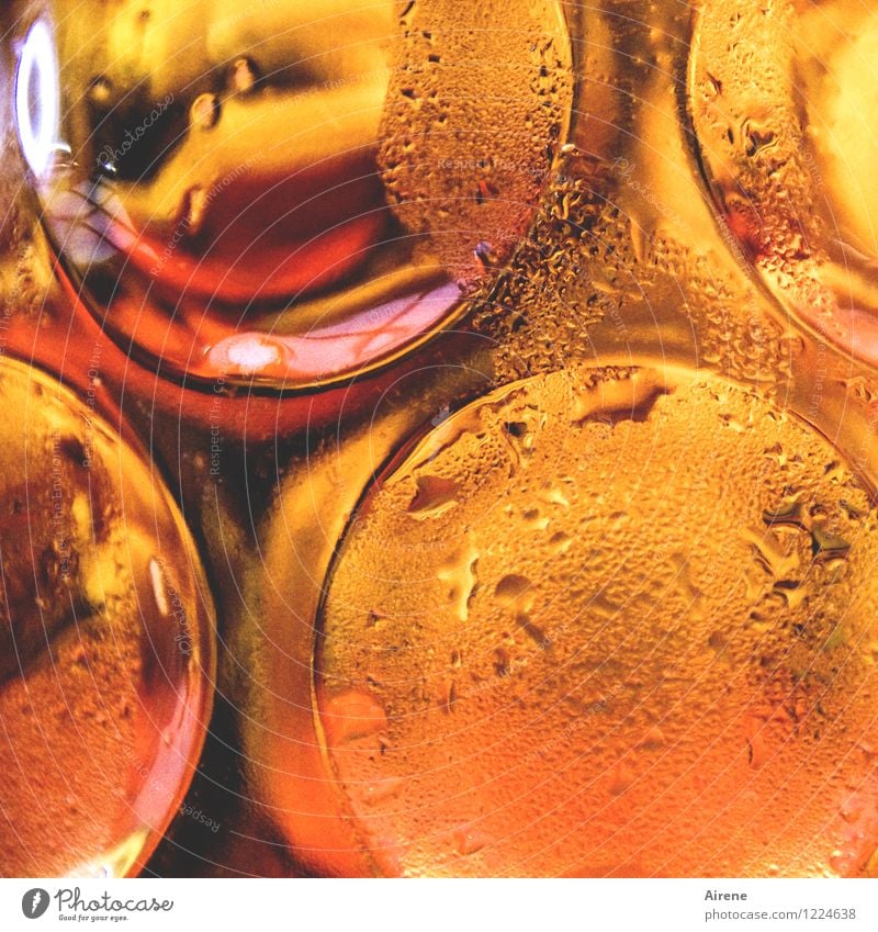 außen rein und innen rein Getränk Erfrischungsgetränk Alkohol Bier Bierkrug Glas Jahrmarkt Bierzelt Biergarten trinken Flüssigkeit kalt gelb gold orange rot