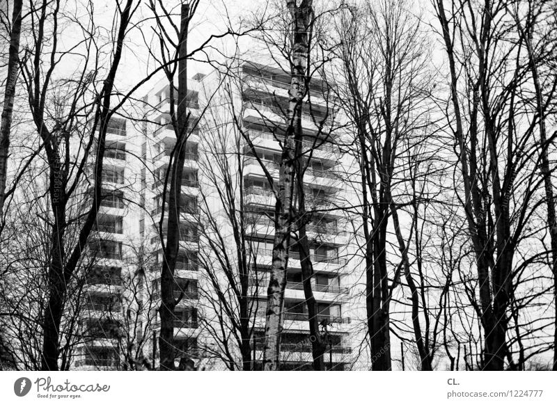 hochhaus hinter bäumen Umwelt Natur Herbst Winter Baum Zweige u. Äste Stadt Stadtrand Haus Hochhaus Fassade Balkon trist komplex Häusliches Leben