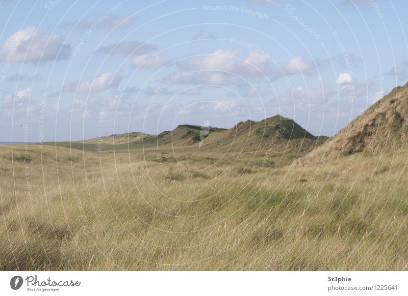 unendlich Erholung ruhig Strand Meer Insel Natur Landschaft Pflanze Sand Himmel Wolken Sonnenlicht Sommer Schönes Wetter Gras Grünpflanze Wiese Hügel Küste