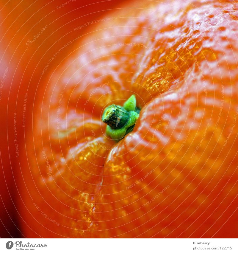 orangecase Orange Orangensaft frisch Saft Vitamin Ernährung Mahlzeit Gesundheit mehrfarbig Vegetarische Ernährung Frucht Makroaufnahme Nahaufnahme fruits