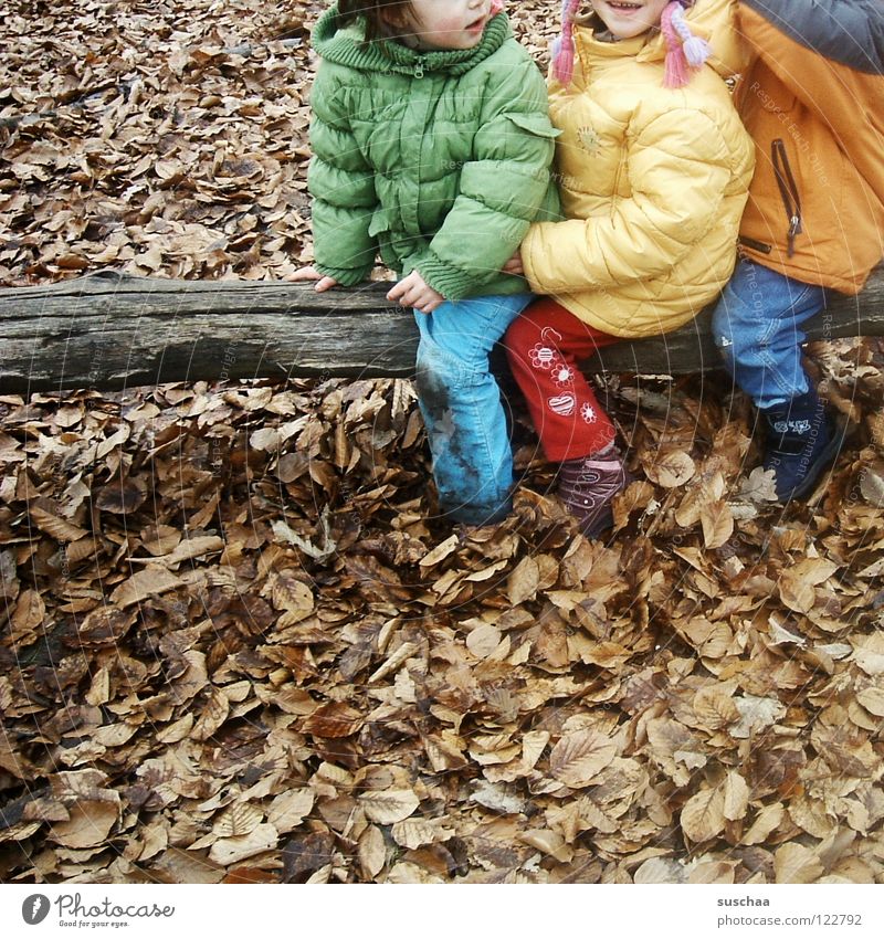gestern auf dem spielplatz .. II Kind Kindergartenkind Hose Jacke kalt Herbst Winter Spielen toben frieren Blatt Baumstamm braun mehrfarbig Freude Außenaufnahme