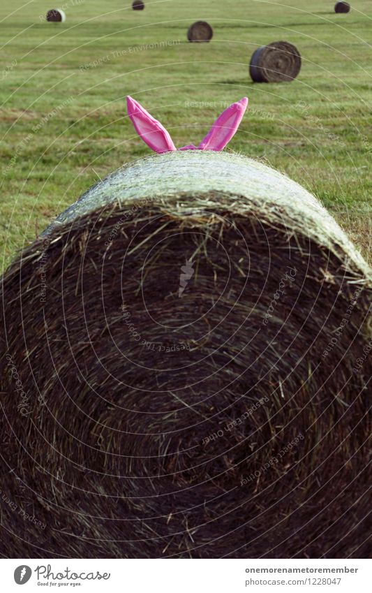 Suchbild Kunst Kunstwerk ästhetisch Hase & Kaninchen Hasenohren Hasenjagd Hasenbraten Wiese Strohballen Ohr Kostüm verstecken Bilderrätsel Spielen Kreativität