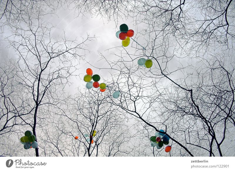 Luftballons mehrfarbig Party Kindergeburtstag blasen aufsteigen Wolken Baum Schmuck verschönern Dekoration & Verzierung Misserfolg Behinderte stoppen Grenze