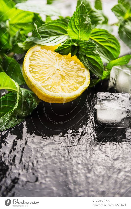 Zitrone, Minze und Eiswürfel für Limonade Lebensmittel Frucht Kräuter & Gewürze Ernährung Bioprodukte Vegetarische Ernährung Diät Getränk Saft Stil Design