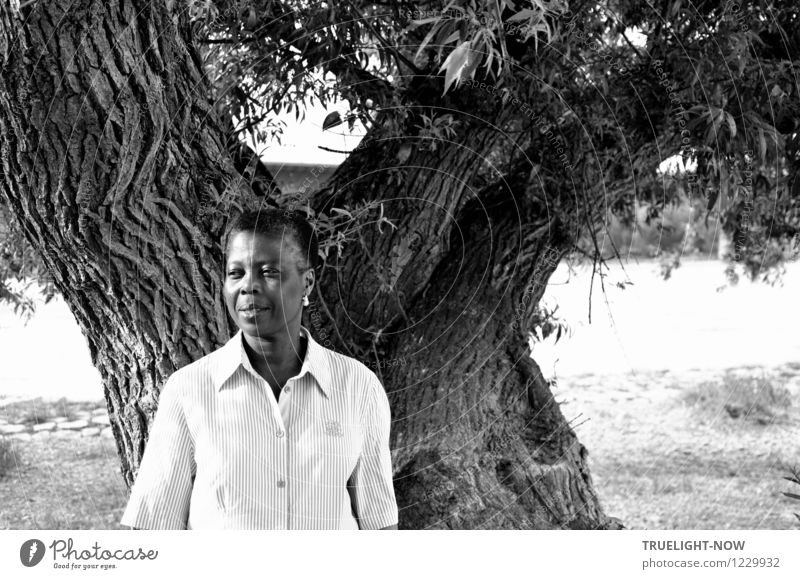 Schwarze, schöne, kurzhaarige Afrikanerin mit hellem Peren Ohrring steht lächelnd in weißem Hemd  an einem mächtigen alten Baum Stil Leben harmonisch Erholung
