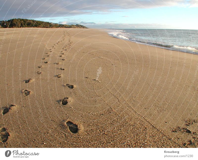 Spuren im Sand Neuseeland Strand Meer Fußspur Sonnenuntergang Wasser