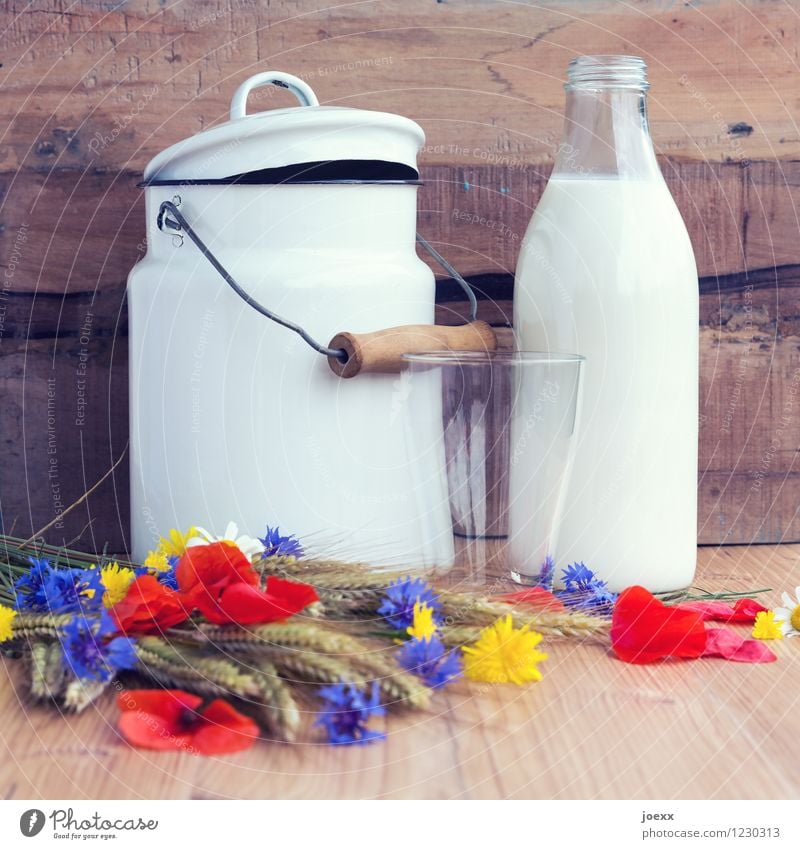 Für Milchbubis + -mädchen Frühstück Glas Blume Holz frisch Gesundheit braun mehrfarbig weiß Milchglas Milchkanne Milchflasche Kannen rustikal altmodisch