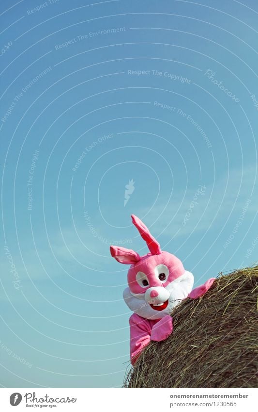 Happy Day Kunst Kunstwerk ästhetisch Freude spaßig Spaßvogel Spaßgesellschaft Strohballen Heuballen Hase & Kaninchen Hasenohren Hasenjagd Hasenbraten rosa