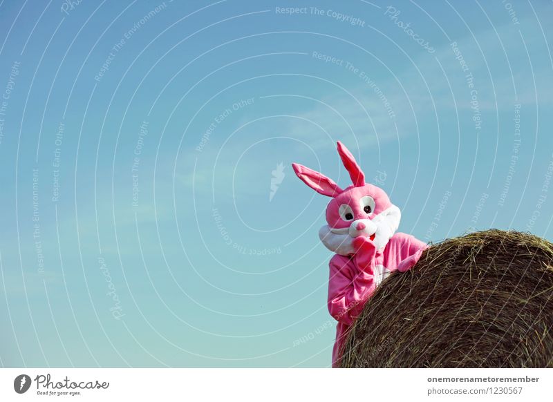 UPSIHU! Kunst Kunstwerk Abenteuer ästhetisch Hase & Kaninchen Hasenohren Hasenjagd Hasenbraten Hasenzahn Hasenpfote rosa Karnevalskostüm Strohballen verstecken