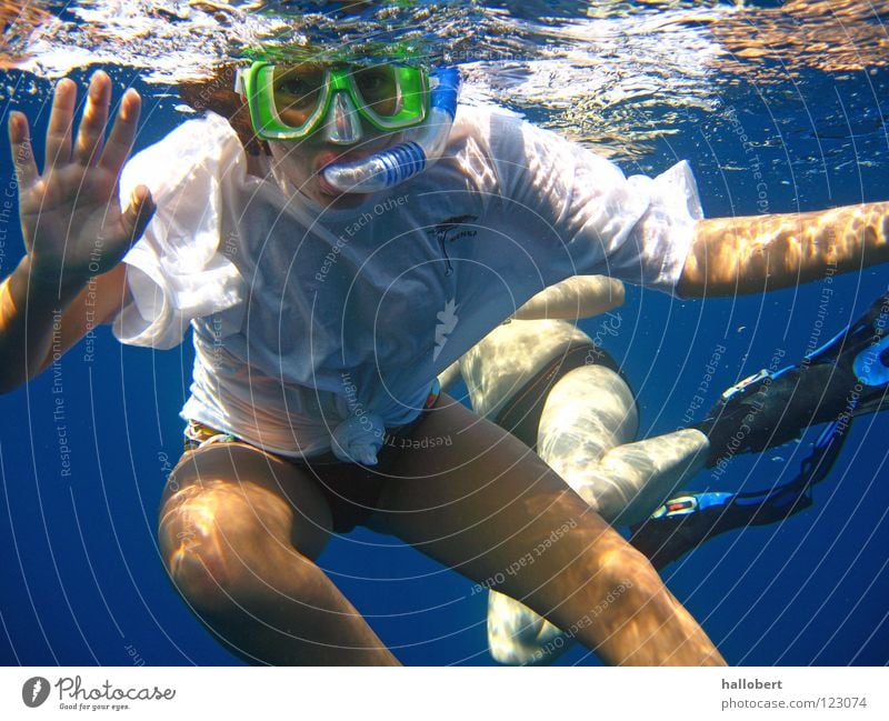 Hi Du! Meer Riff tauchen Schnorcheln Malediven Wasser Wassersport Unterwasseraufnahme traumurlaub meer von unten maldives traum urlaub