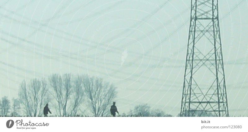 UNTER STROM G(ST)EHEN Paar gehen Elektrizität Strommast Spaziergang hängen Rheintal Wetter Muster schlechtes Wetter Himmel Baum Winter kalt Nebel