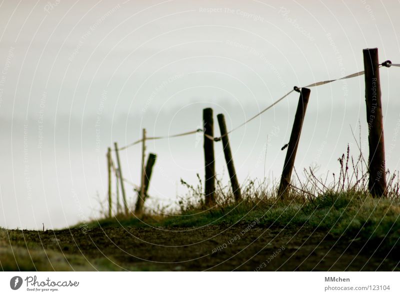 Der Weg ist das Ziel untergehen Licht Nebel Zaun Gras Weidezaun Grenze abwärts Nebelmeer Nebelbank dunkel weiß Morgennebel Durchblick Tau kalt trist
