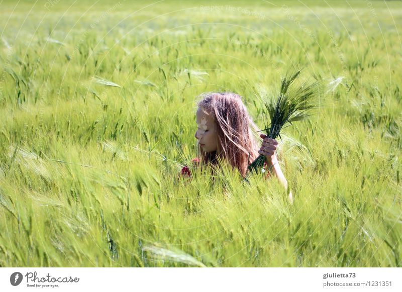 In Gedanken versunken... | Mädchen verträumt im Kornfeld Kindheit Jugendliche Leben 1 Mensch 8-13 Jahre Natur Landschaft Frühling Schönes Wetter Wind Pflanze