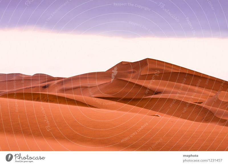 Schöne Kurven #4 Ferien & Urlaub & Reisen Tourismus Ausflug Abenteuer Ferne Expedition Umwelt Natur Landschaft Urelemente Sand Wärme Wüste Namibia Menschenleer