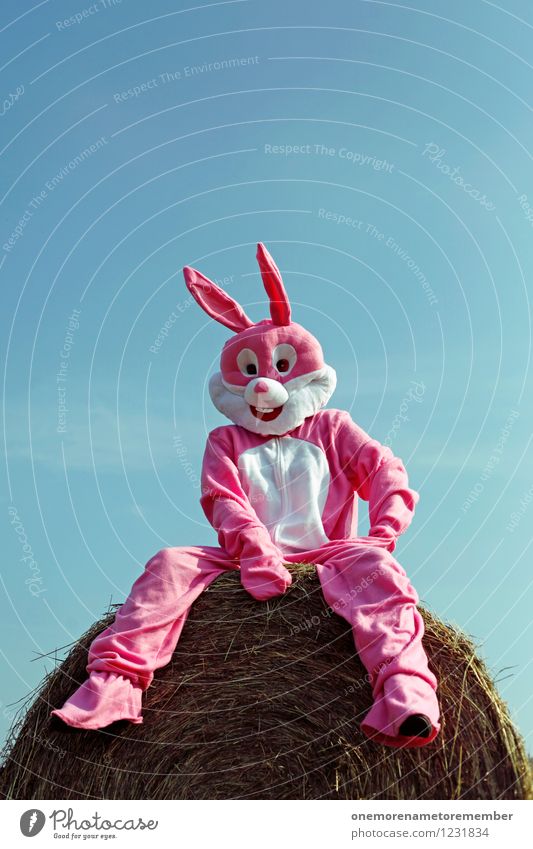 just chillin Kunst Kunstwerk ästhetisch Hase & Kaninchen Hasenohren Hasenjagd Hasenbraten Hasenzahn Hasenpfote sitzen Kostüm Erholung Heuballen Strohballen rosa