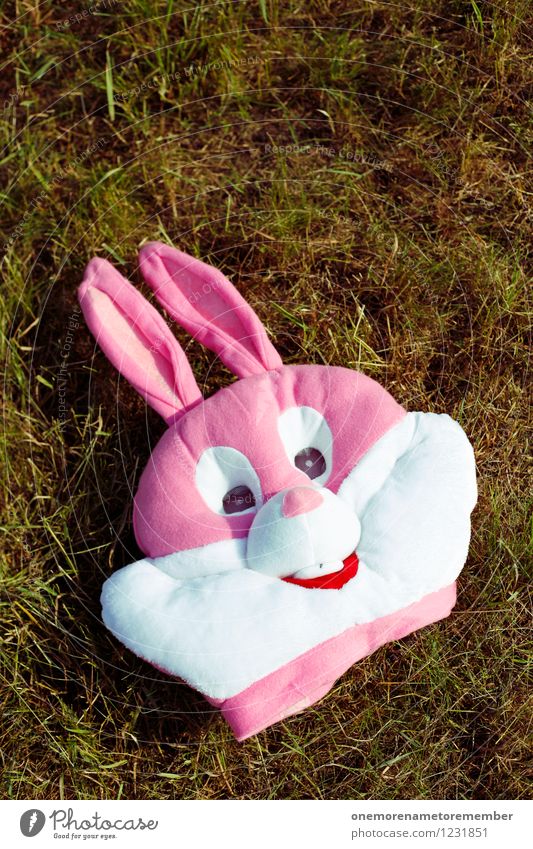 bannomask Kunst ästhetisch Hase & Kaninchen Hasenohren Hasenjagd Hasenbraten Hasenzahn Maske Maskenball Karnevalskostüm rosa Farbfoto mehrfarbig Außenaufnahme
