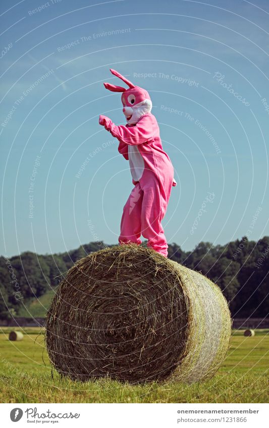 DANCER Kunst Kunstwerk Radio ästhetisch rosa Hase & Kaninchen Hasenohren Hasenjagd Hasenbraten Hasenzahn Hasenpfote Tanzen hoch Freude spaßig Spaßvogel