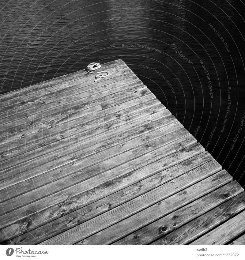 Waterkant Wasser Anlegestelle Steg eckig einfach maritim Seil Am Rand Ecke Holz Holzbrett Planken See dunkel Traurigkeit Textfreiraum Schwarzweißfoto